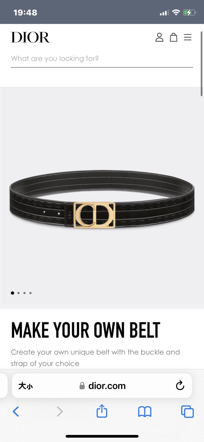 Dior Belts